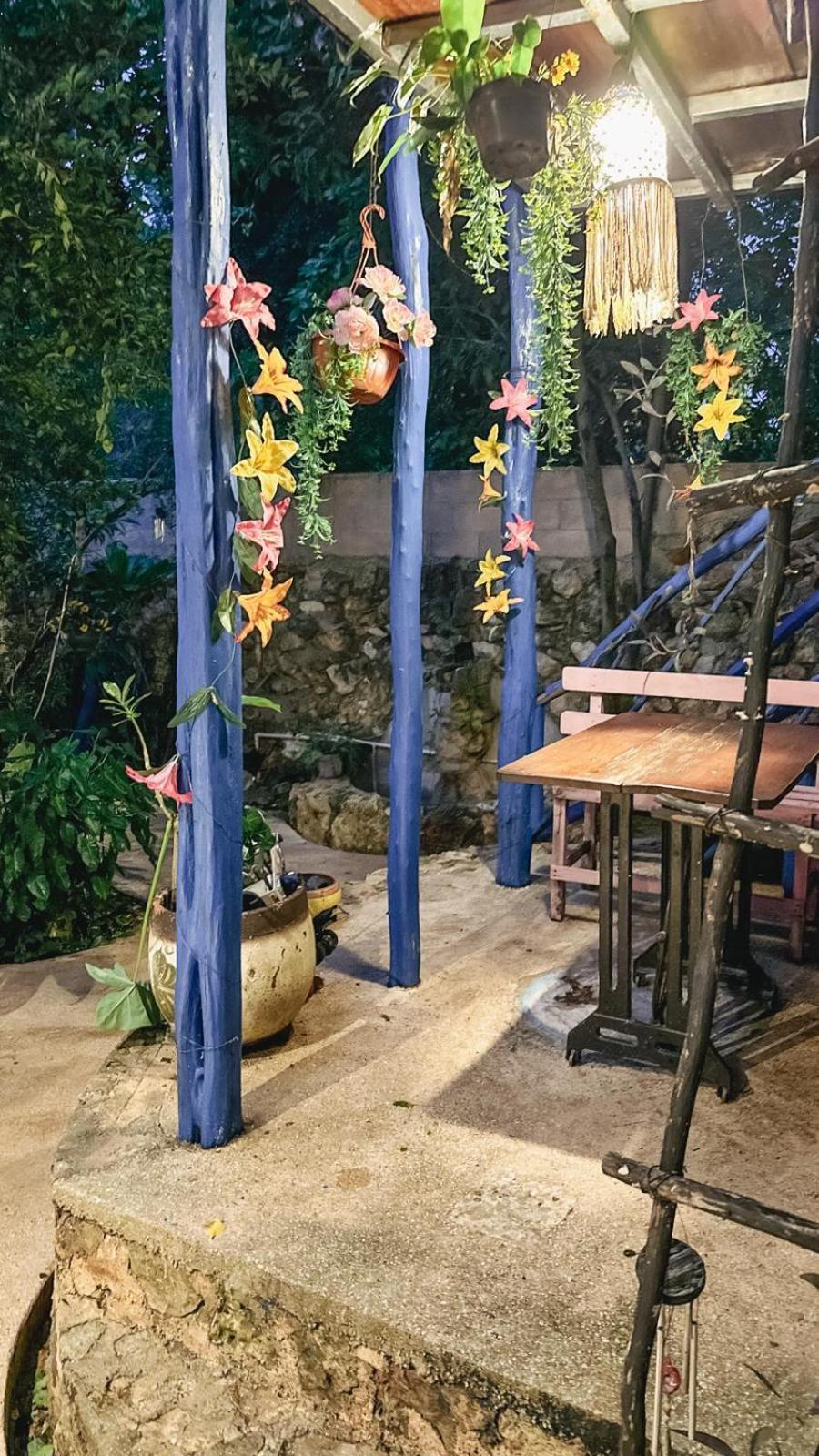 Casa Daniels Guesthouse 바야돌리드 외부 사진